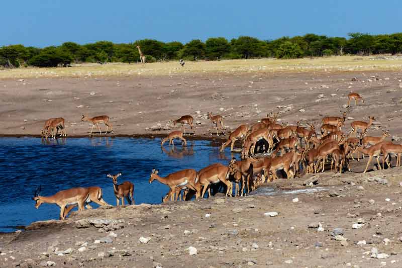 Namibia